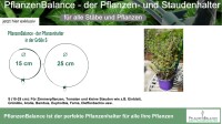 Der Pflanzenhalter  in Größe S von Ø 15-25cm