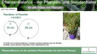 PflanzenBalance, Größe S der Pflanzenhalter Staudenhalter | individuell verstellbar | robust und witterungsbeständig | perfekt für Stauden, Sträucher, Blumen und Gräser | Größe S von Ø15-25cm