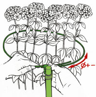 PflanzenBalance, Größe S der Pflanzenhalter Staudenhalter | individuell verstellbar | robust und witterungsbeständig | perfekt für Stauden, Sträucher, Blumen und Gräser | Größe S von Ø15-25cm