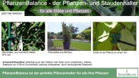 PflanzenBalance,  Größe M der Pflanzenhalter Staudenhalter | individuell verstellbar | robust und witterungsbeständig | perfekt für Stauden, Sträucher, Blumen und Gräser | Größe M von Ø20-45cm