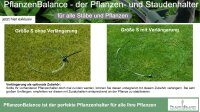 PflanzenBalance,  Größe M der Pflanzenhalter Staudenhalter | individuell verstellbar | robust und witterungsbeständig | perfekt für Stauden, Sträucher, Blumen und Gräser | Größe M von Ø20-45cm