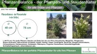 Der Pflanzenhalter  in Größe L von Ø 40-75cm