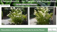 Pflanzenhalter Staudenhalter Blumenstütze – Flexibel, Stabil & Wetterfest – Einfache Montage, Kompakt und Unauffällig, Robuste Stützen für Große Pflanzen