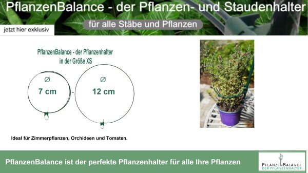 PflanzenBalance, Größe XS der Pflanzenhalter Staudenhalter | individuell verstellbar | robust und witterungsbeständig | perfekt für Stauden, Sträucher, Blumen und Gräser | Größe XS von Ø7-12cm #1